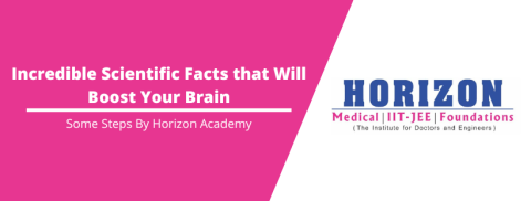 Incredible Scientific Facts that Will Boost Your Brain – Horizon Academy