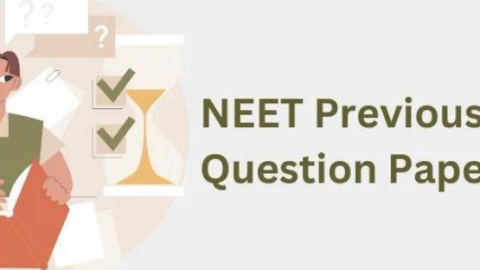 How Previous Question Papers Help in NEET Exam