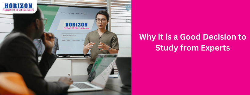 Why it is a Good Decision to Study from Experts - horizon